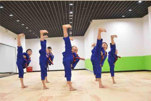 北京幼儿跆拳道基础培训班的课程内容介绍
